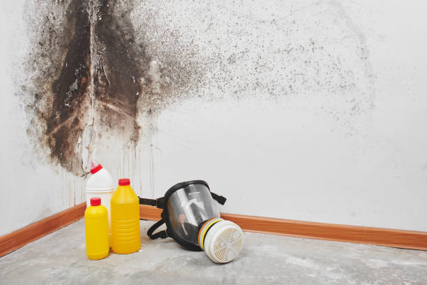 Best Residential Mold Remediation in Wilton Center, CT