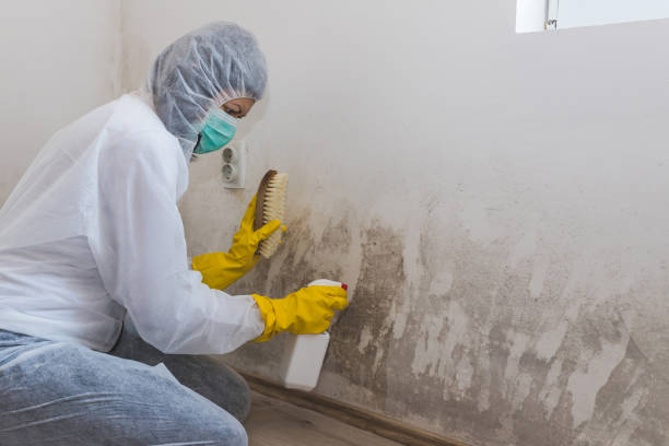 Best Mold Remediation for Specific Building Types in Wilton Center, CT